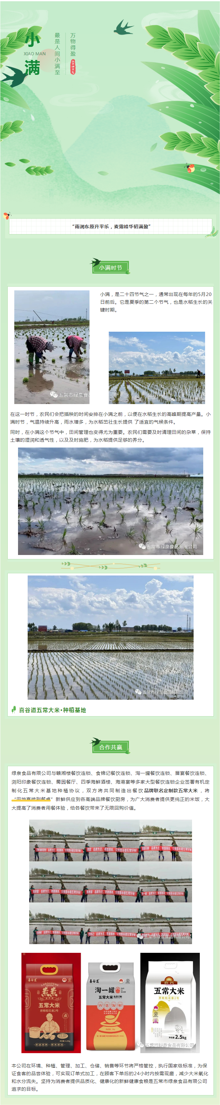 今日小滿，宜萬物生長！五常大米插秧的好時節.png